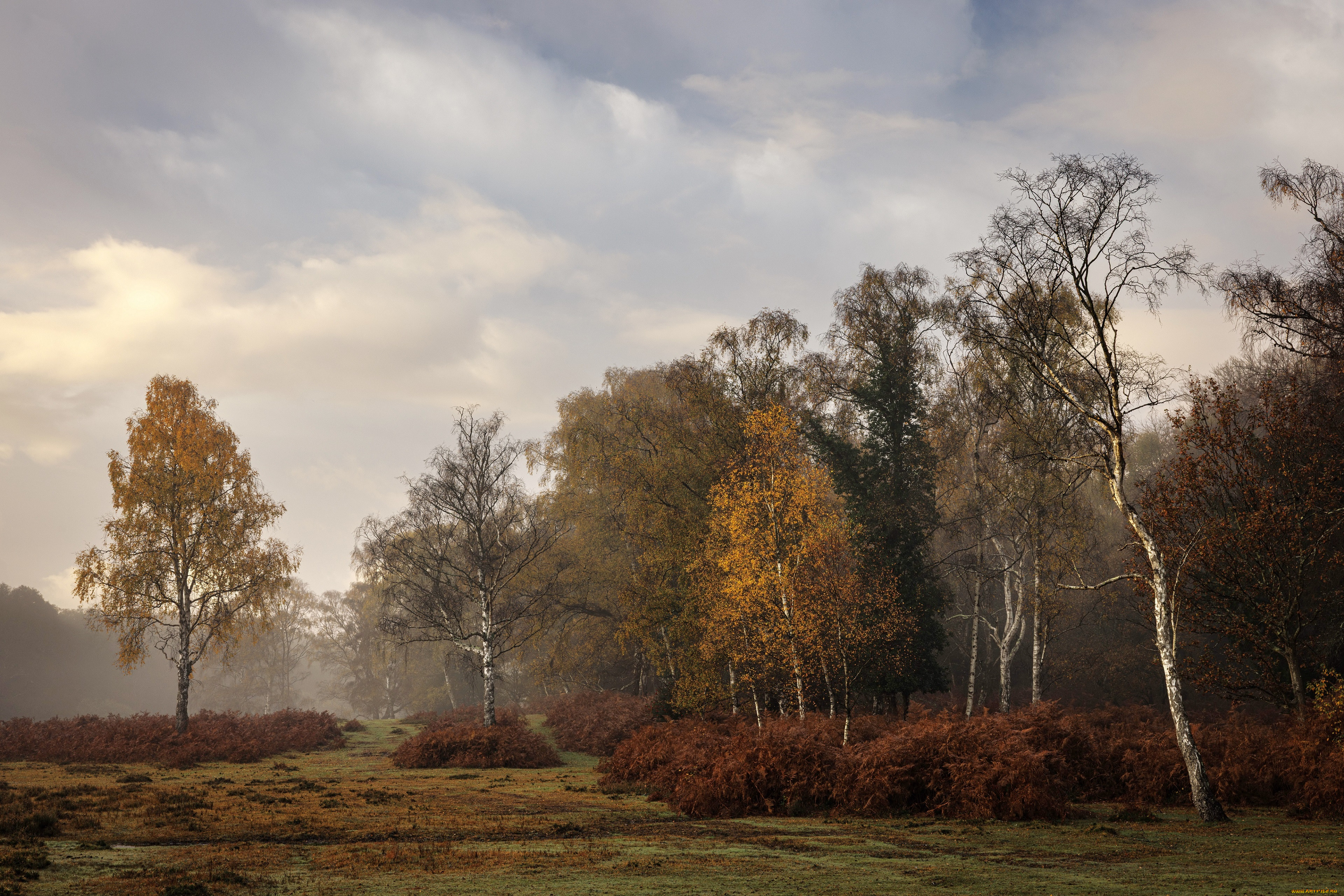 �������, ���, ������